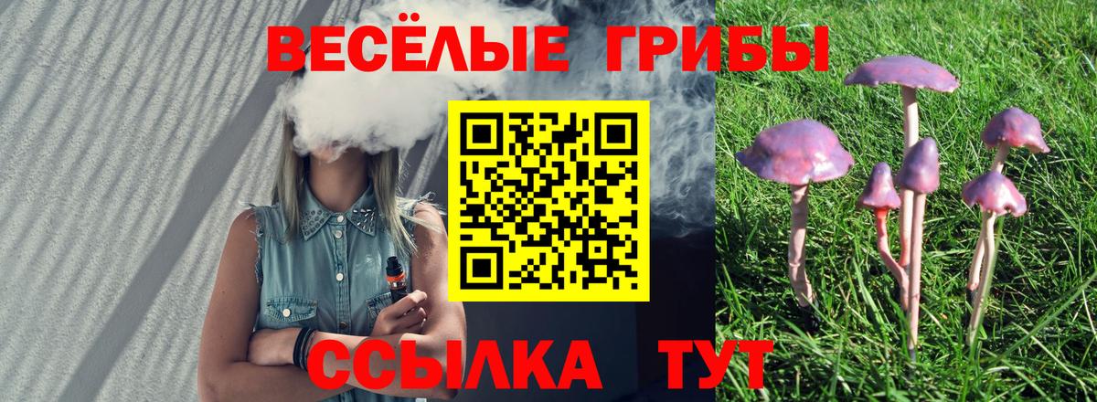 Псилоцибиновые грибы Magic Shrooms  Вход с VPN  где купить   Когалым  Галлюциногенные грибы Cubensis 